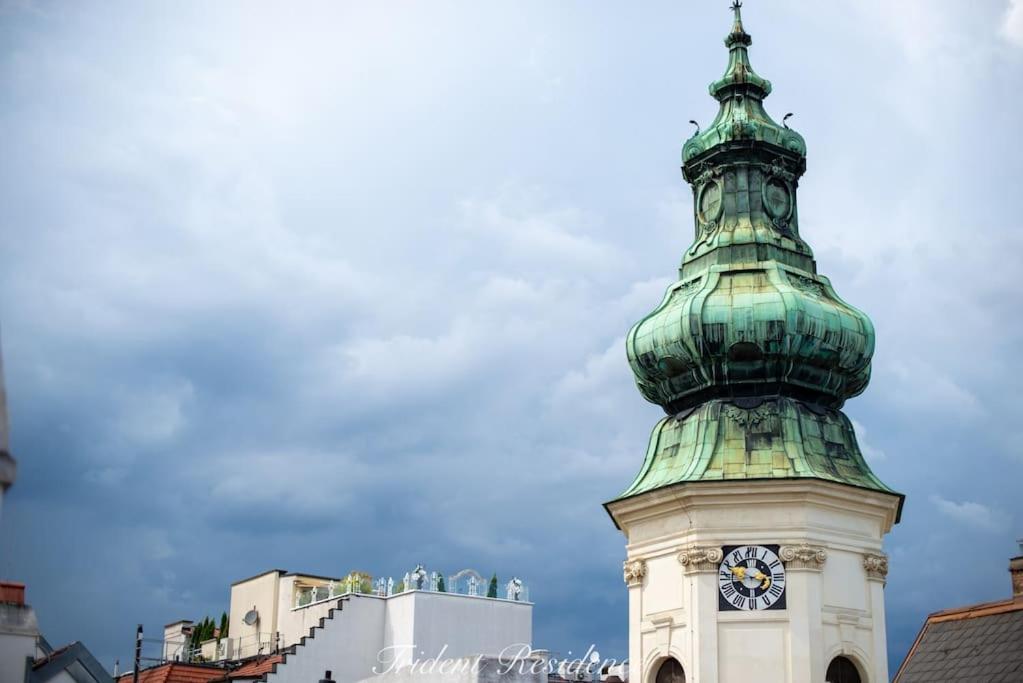 Zum Blauen Karpfen Apartment Wina Bagian luar foto