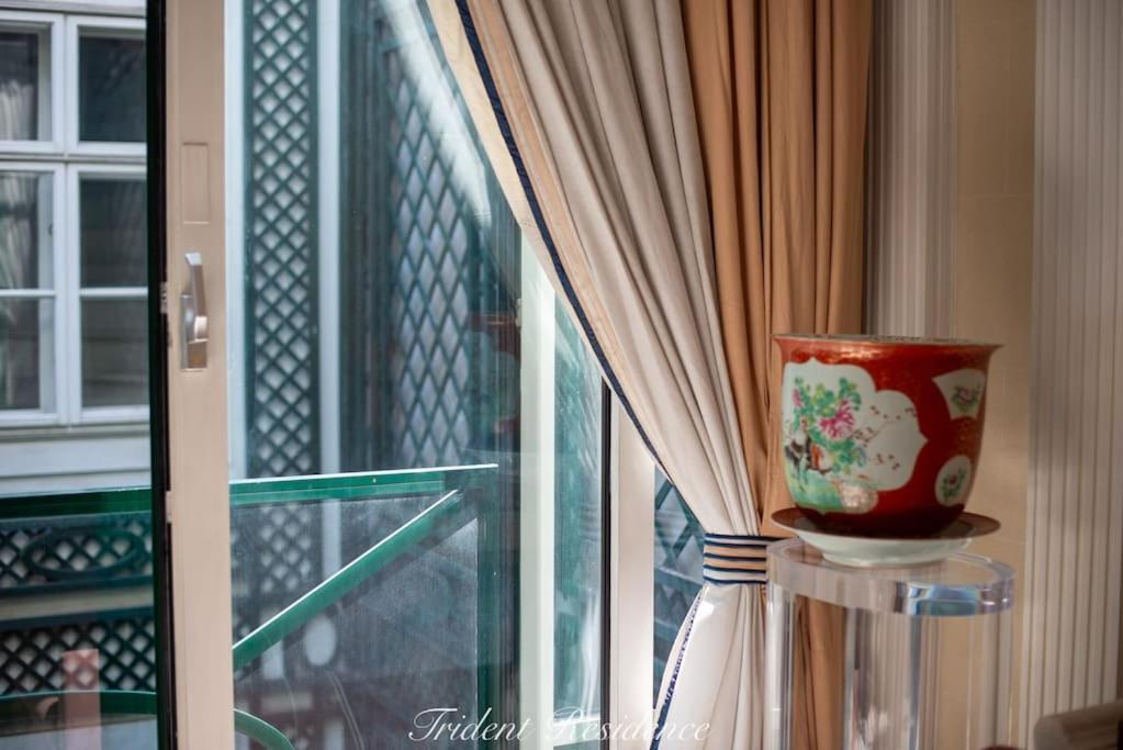 Zum Blauen Karpfen Apartment Wina Bagian luar foto