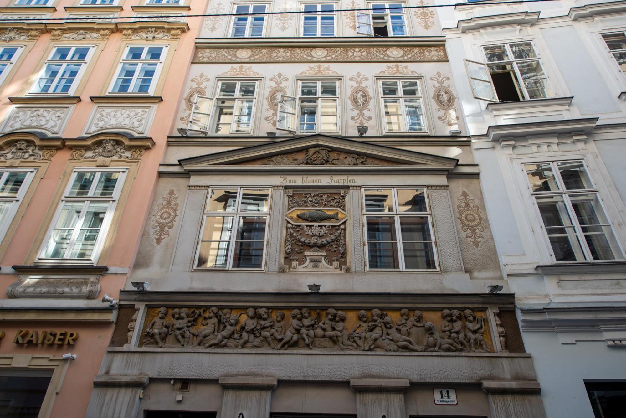 Zum Blauen Karpfen Apartment Wina Bagian luar foto