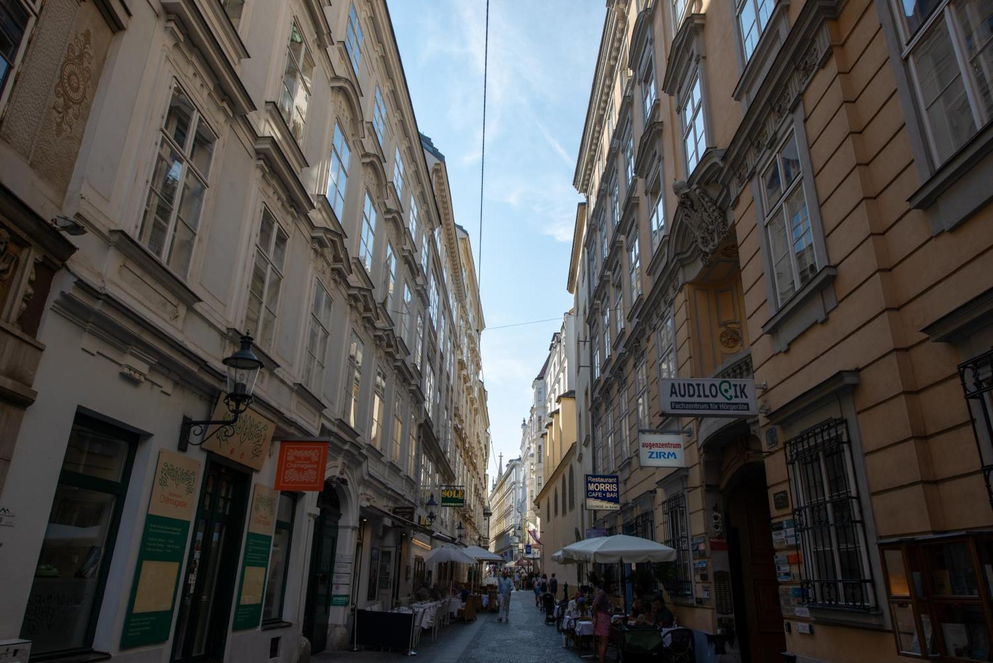 Zum Blauen Karpfen Apartment Wina Bagian luar foto