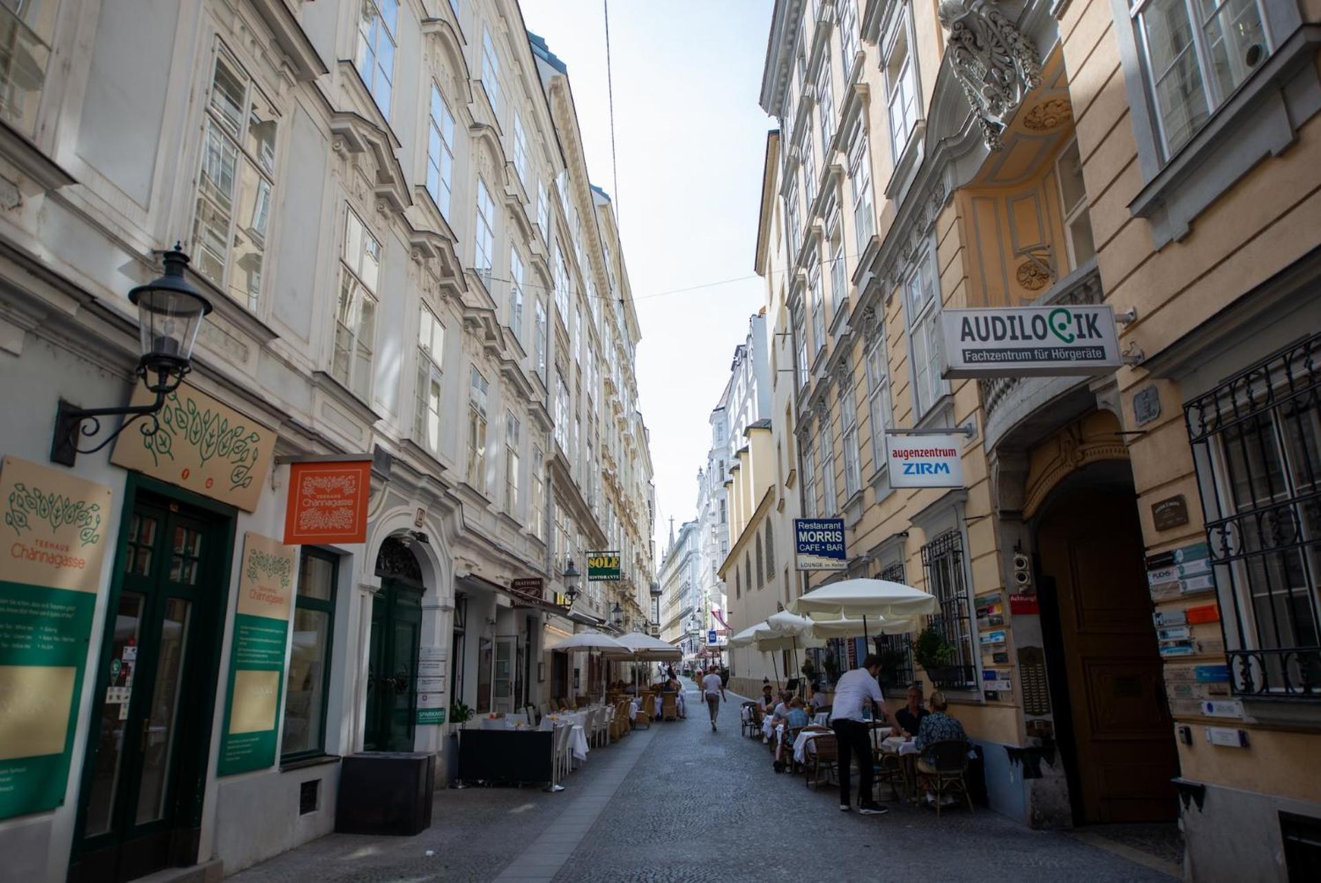 Zum Blauen Karpfen Apartment Wina Bagian luar foto